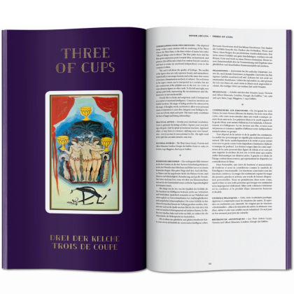 Карты на иностранном языке "Dali. Tarot" - 4