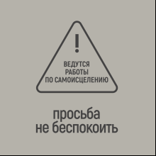 Фляжка "Просьба не беспокоить", 235 мл, серебристый