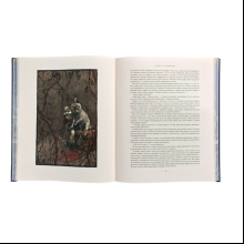 Книга "Сказки Ганса-Христиана Андерсена", Ганс-Христиан Андерсен