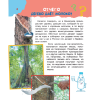 Книга "Почему, зачем и как? Самые интересные детские вопросы", Бобков П., Малов В. - 4