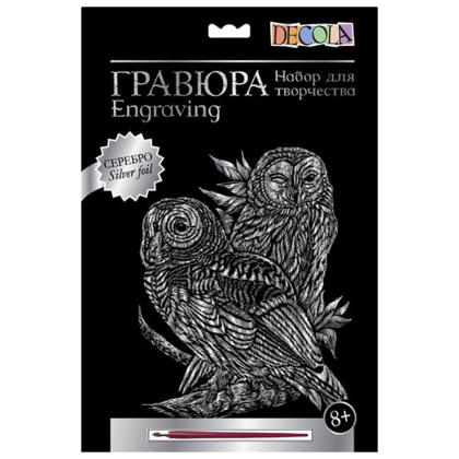 Набор для творчества "Совы", 21х29.7 см, гравюра, серебро