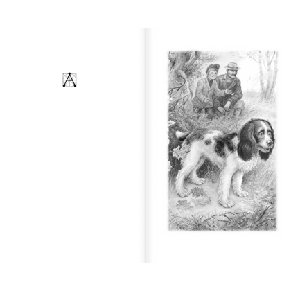 Книга "Детское чтение. Сказки и рассказы о животных", Виталий Бианки, Михаил Пришвин, Константин Ушинский и др. - 4