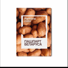 Обложка для паспорта "Pantone", натуральная кожа, разноцветный