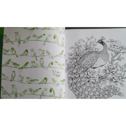 Раскраска на английском языке "Colouring Book. Beautiful Birds" - 3
