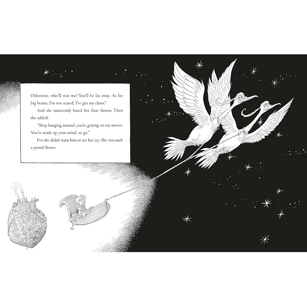 Книга на английском языке "The Little Prince", Exupery S. , ill. Chris Riddell - 3