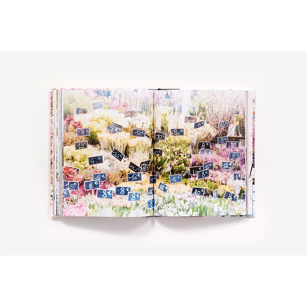 Книга на английском языке "Paris in Bloom", Lane G. - 7