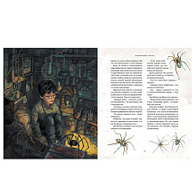 Книга "Гарри Поттер и Философский камень" с цветными иллюстрациями, Роулинг Дж.К