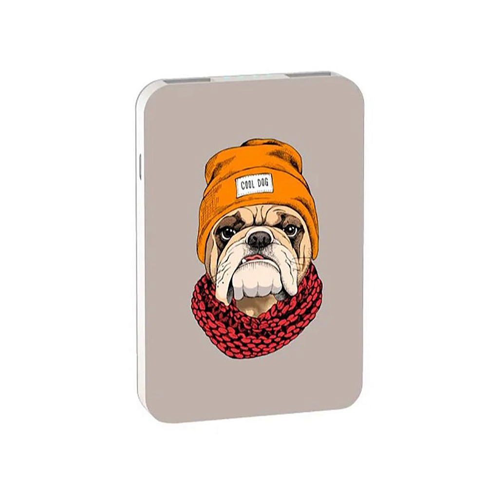 Внешний аккумулятор "Ritmix RPB-10007 BULLDOG", 10000 мА·ч - 2