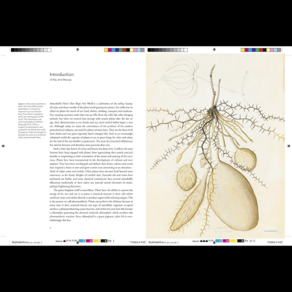 Книга на английском языке "Remarkable plants", Helen Bynum, William Bynum - 6
