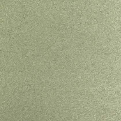 Бумага для пастели Малевичъ "GrafArt", A2, 270 г/м2, зеленый эвкалипт 