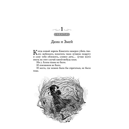 Книга "Школа Добра и Зла. Кристалл времени (#5)", Соман Чайнани - 7