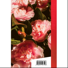Книга "Золотая серия поэзии. Танго утраченных грез", Рубальская Л.