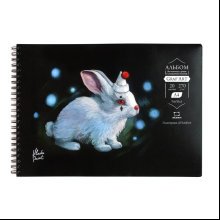 Скетчбук для пастели "GrafArt" с калькой, 270 г/м2, А4, 20 листов, черный