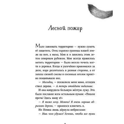 Книга "День огня (#6)", Катя Брандис - 4