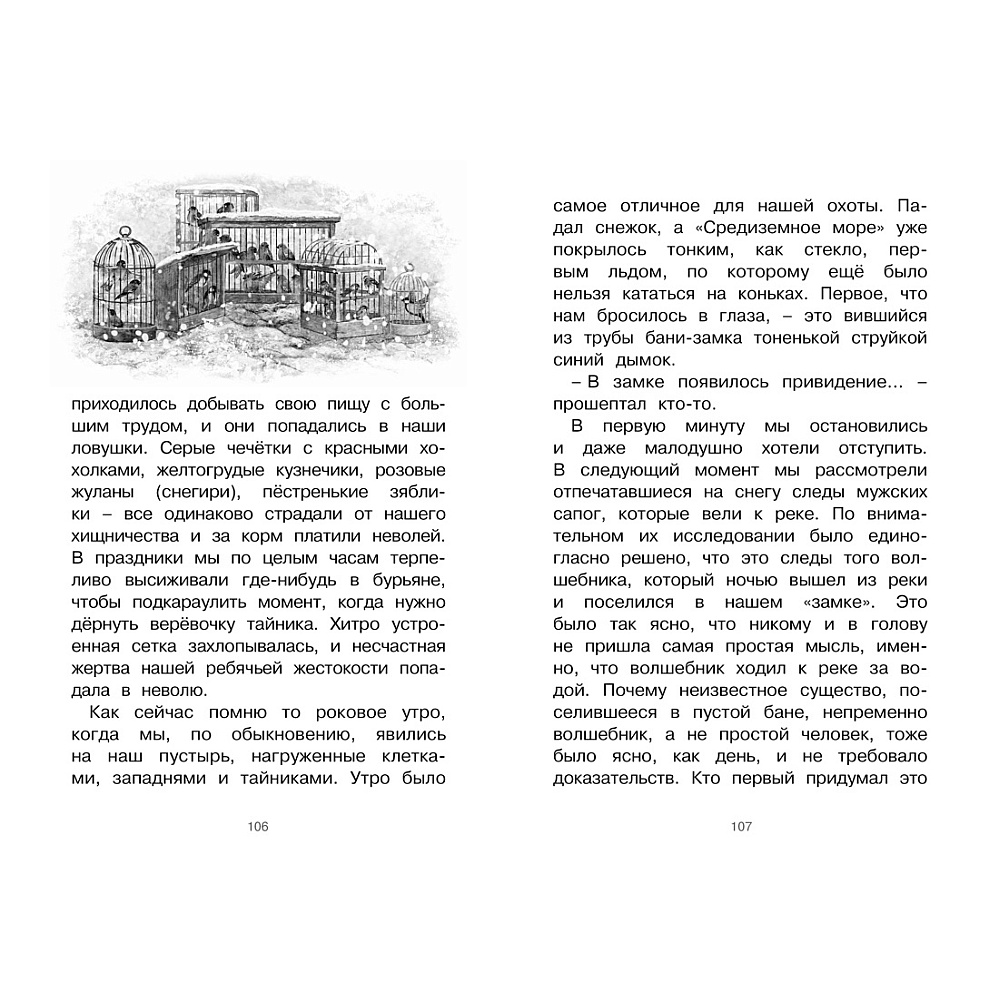 Книга "ЧЛУ. Серая Шейка", Дмитрий Мамин-Сибиряк - 5