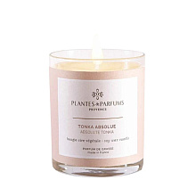 Свеча ароматическая "PLANTS&PARFUMS" Aboslute Tonka, 180 гр., подарочная упаковка