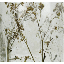 Подсвечник "Dried Flowers", стекло, золотой, прозрачный