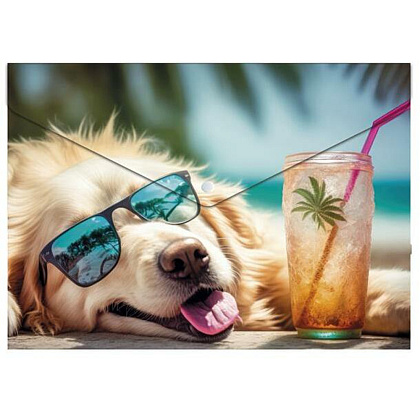Папка-конверт на кнопке "Chillout dog", А5, разноцветный