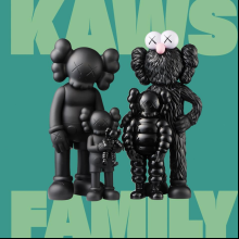 Книга на английском языке "Kaws. Family", Shedden J., Cox J. 