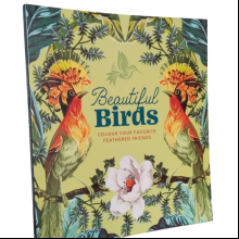 Раскраска на английском языке "Colouring Book. Beautiful Birds"