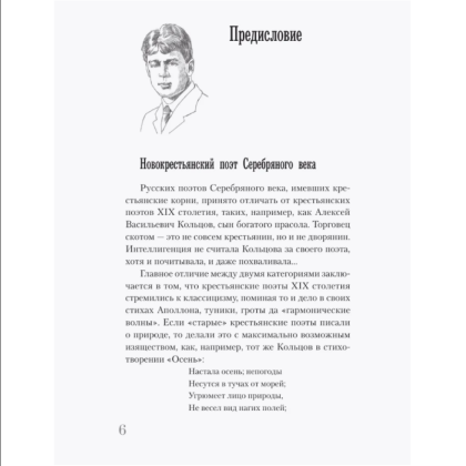 Книга "Самая полная биография. Есенин", Василий Берг - 6