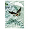 Блокнот "Jungle harmony", A5, 32 листа, линейка, ассорти 1 - 3