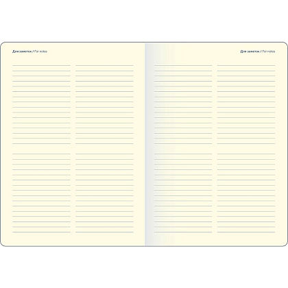 Ежедневник недатированный "Diary", А5, черный - 5