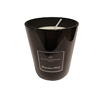 Свеча ароматическая "PLANTS&PARFUMS" Havana 1902, 420 гр. 