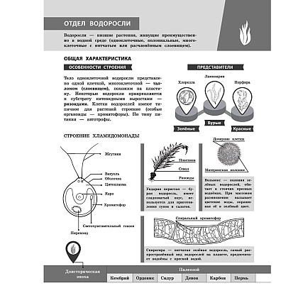 Книга "Биология в инфографике", Оксана Мазур - 11