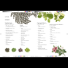 Книга на английском языке "Remarkable plants", Helen Bynum, William Bynum - 2