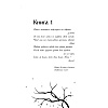 Книга "Воздушный народ. Королева ничего (#3)", Холли Блэк - 7