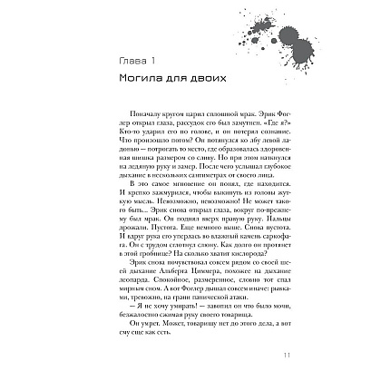 Книга "Эрик Фоглер и проклятие замка Мисти", Беатрис Осес - 4