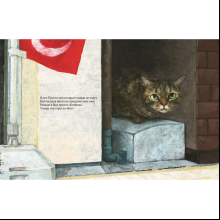 Книга "Кот без имени", Фумико Такэсита, иллюстрации Матида Наоко