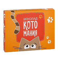 Шоколад молочный "Котомания", 60 г