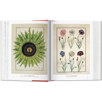 Книга на английском языке "A Garden Eden. Masterpieces of Botanical Illustration", Lack H. W. - 3