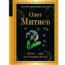 Книга "Лето - это маленькая жизнь", Олег Митяев