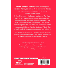 Книга на немецком языке "Die Leiden des jungen Werthers", Иоганн Вольфганг фон Гете,  -50%