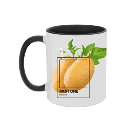 Кружка керамическая "Pantone. Belarus", 320 мл, белый, черный