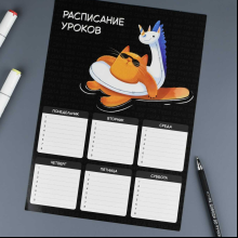 Расписание уроков "Суперкот", А4, черный, оранжевый