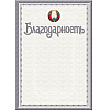 Грамота С275, А4, 250 г/м2 - 10