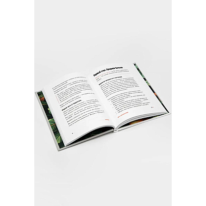 Книга "Поштурмим?", Игорь Манн, Дмитрий Турусин - 5