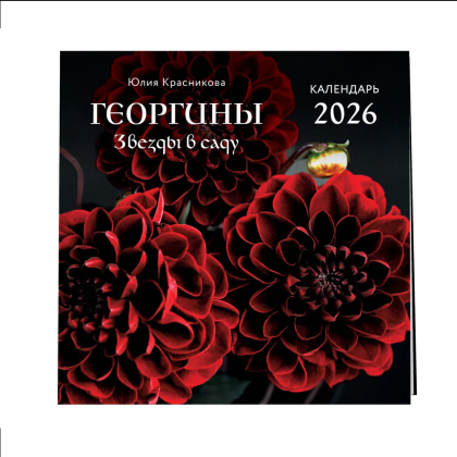 Календарь настенный перекидной "Георгины. Звезды в саду" на 2026 год - 3