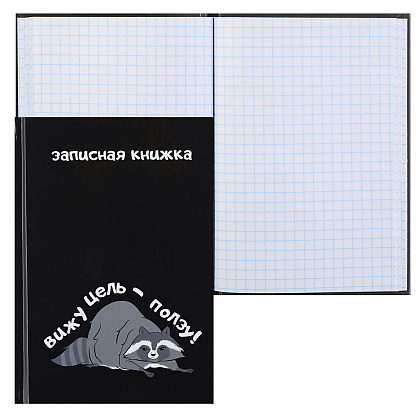 Книга записная "Енот", А6, 105x148 мм, 48 листов, в клетку, черный