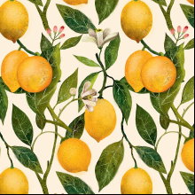 Бумага декоративная в рулоне "Flora. Lemons", 1 x 0,7 м