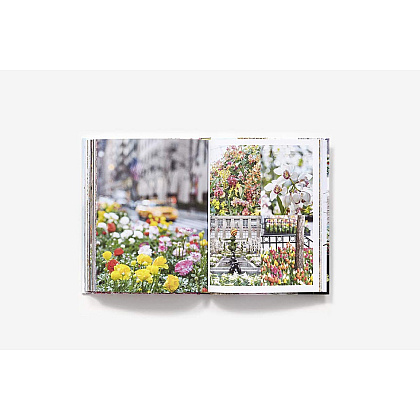 Книга на английском языке "New York in Bloom", Lane G. - 2