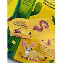 Книга "Книжка с окошками. Мир животных"