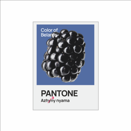 Блокнот «Color of Belarus. Pantone Azhany nyama», А5, 128 листов, в точку, белый, синий - 2