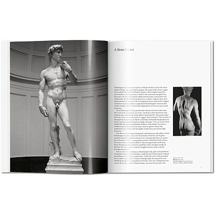 Книга на английском языке "Basic Art, Michelangelo" - 5