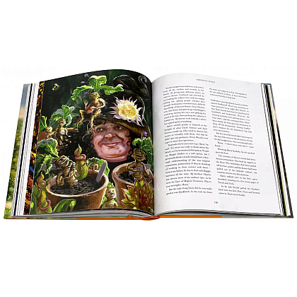 Книга на английском языке "Harry Potter and the Chamber of Secrets HB Illustr.", Rowling J.K.  - 7