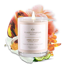 Свеча ароматическая PLANTS&PARFUMS "Intense Amber", 180 гр., подарочная упаковка